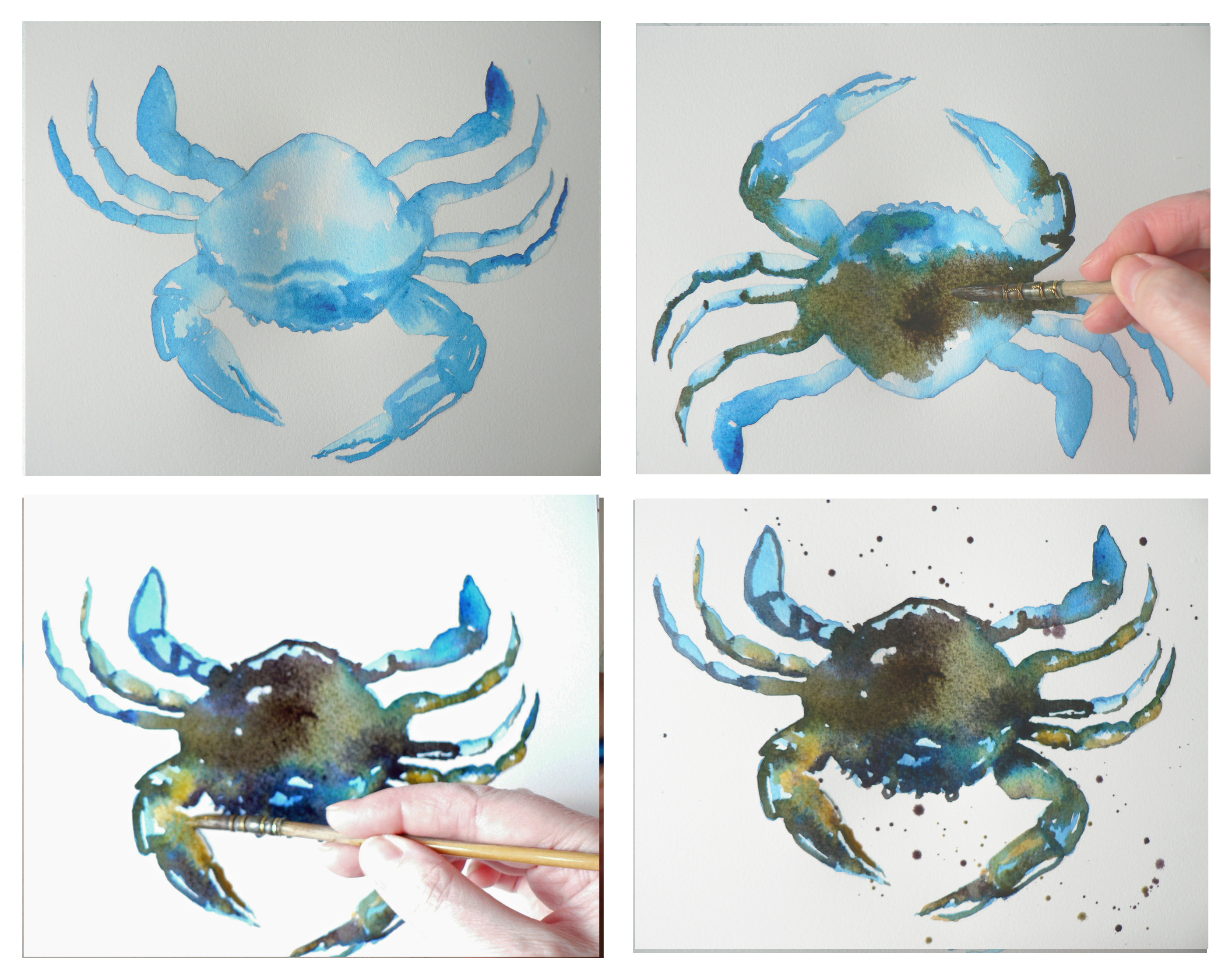 2814x2237 How To Paint A Watercolour Crab Alison Fennell Art