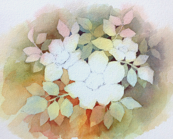 600x480 Introduction To Negative Watercolor Painting