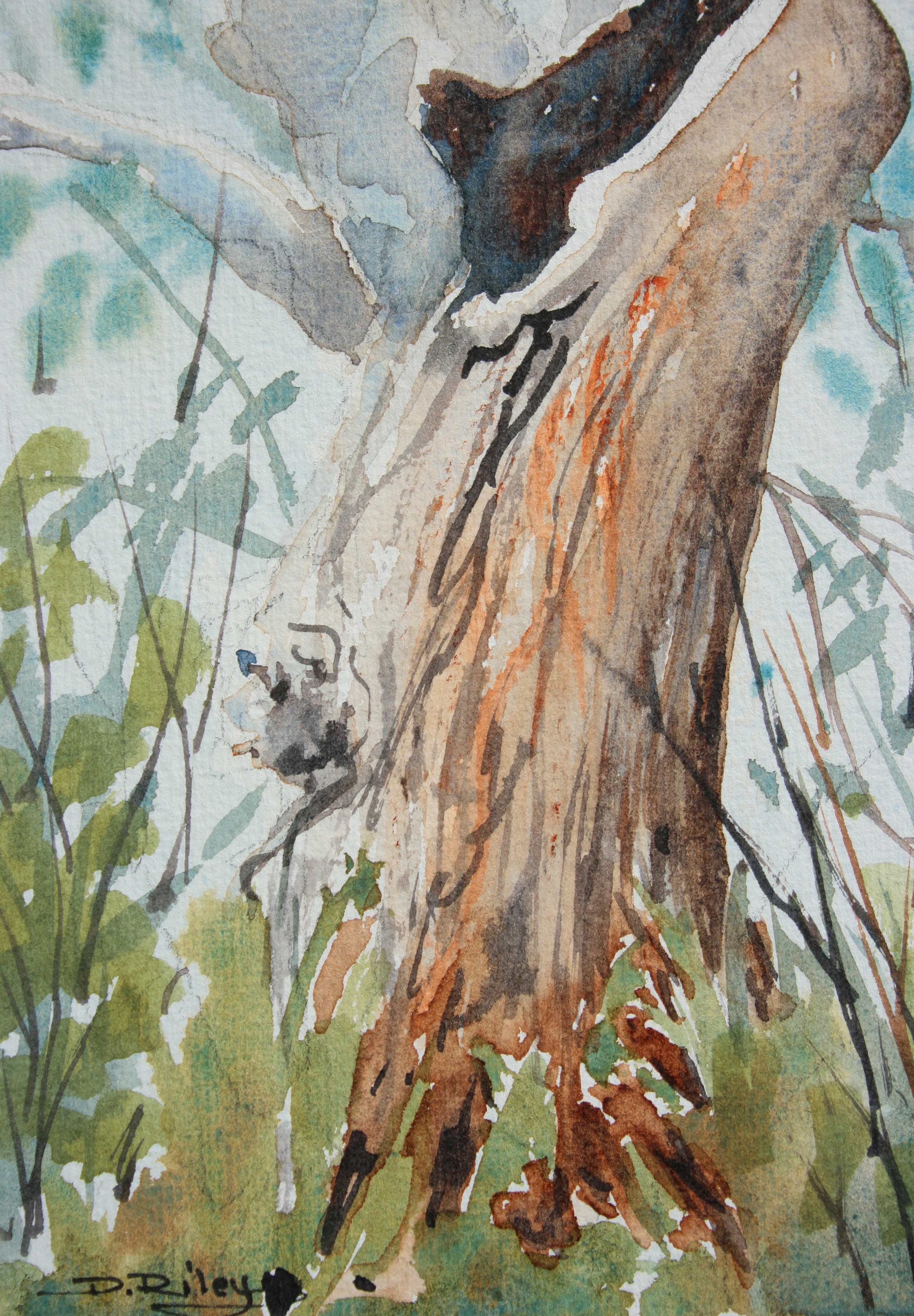 Watercolor Painting Trees And Foliage