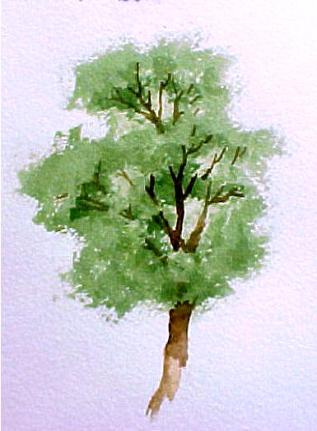 317x431 How To Paint Trees In Watercolor