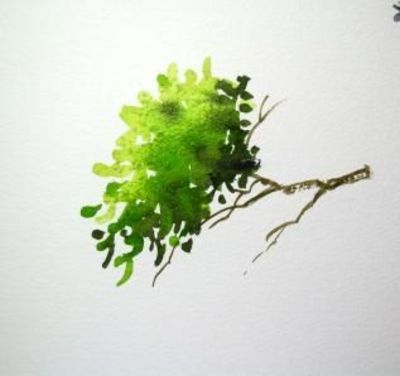 400x376 Marvin Chew Painting Trees And Foliage In Watercolour (... Nice