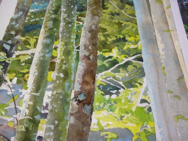 600x450 Painting Trees And Leaves Watercolor Demonstration