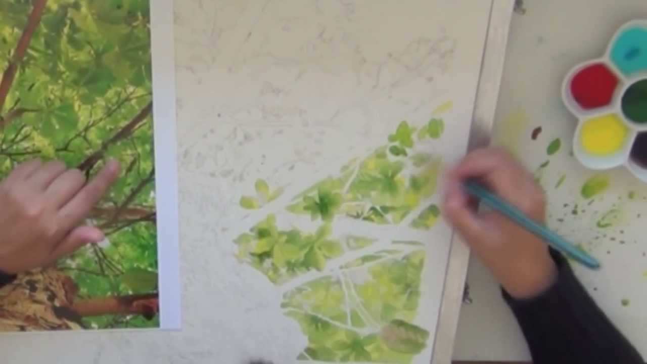 1280x720 Painting Trees And Leaves With Watercolor, A Time Lapse Video