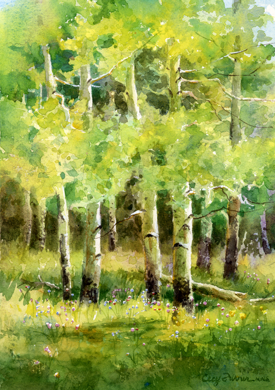 565x800 August 2014 Anaspenaday