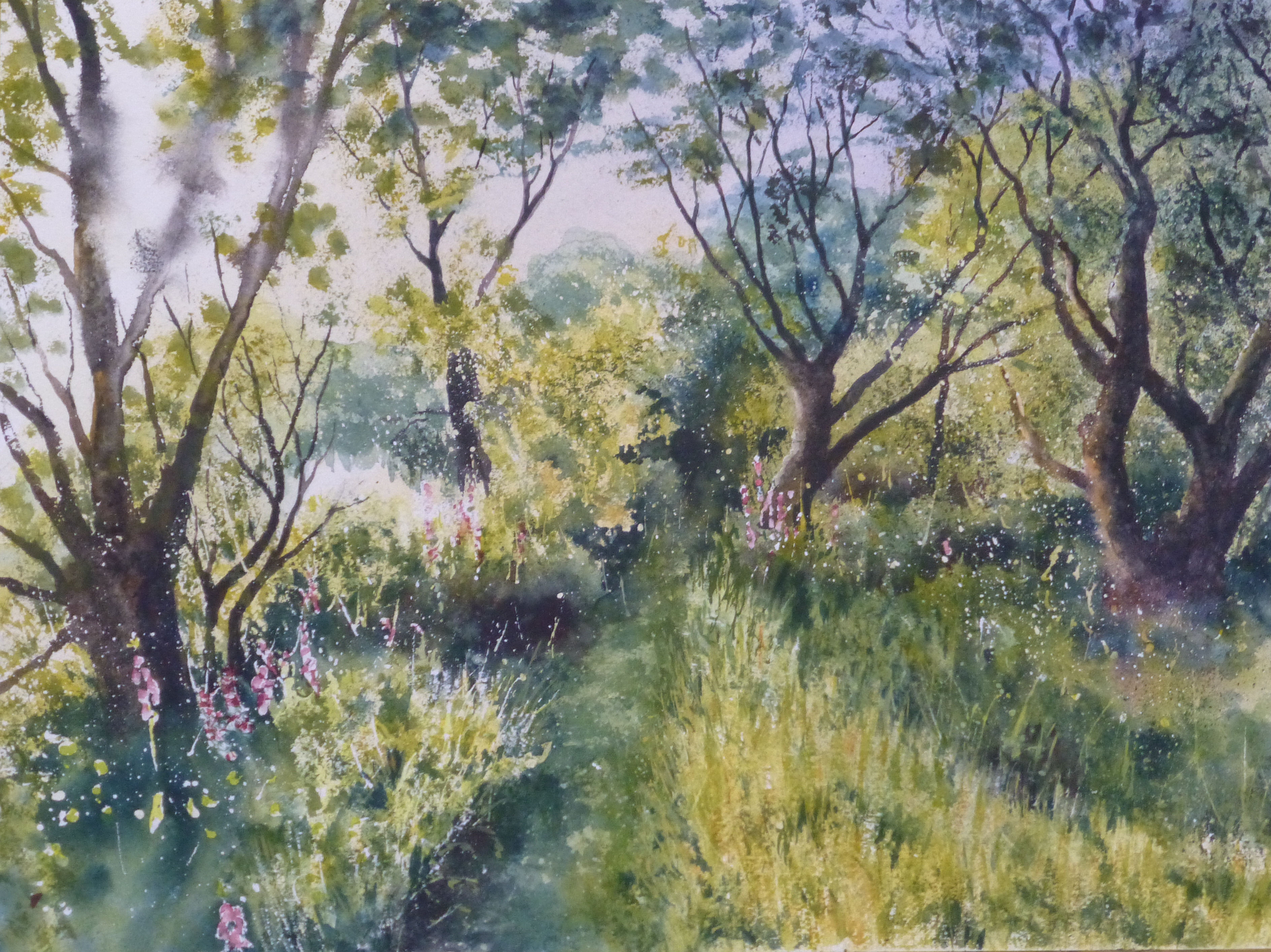 3773x2828 Foxgloves Amid Foliage And Light On Parbold Hill Watercolour