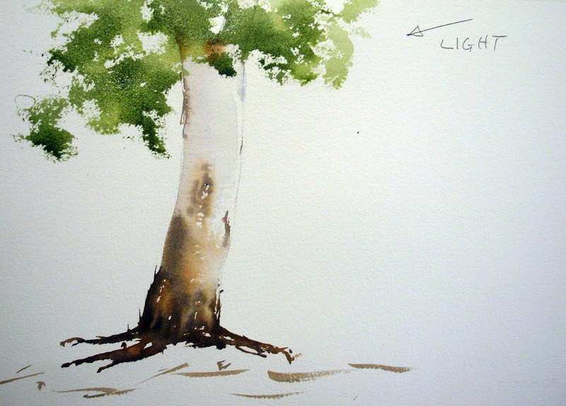 800x574 Gum Trees, Painting Their Foliage With Watercolor,eucalyptus