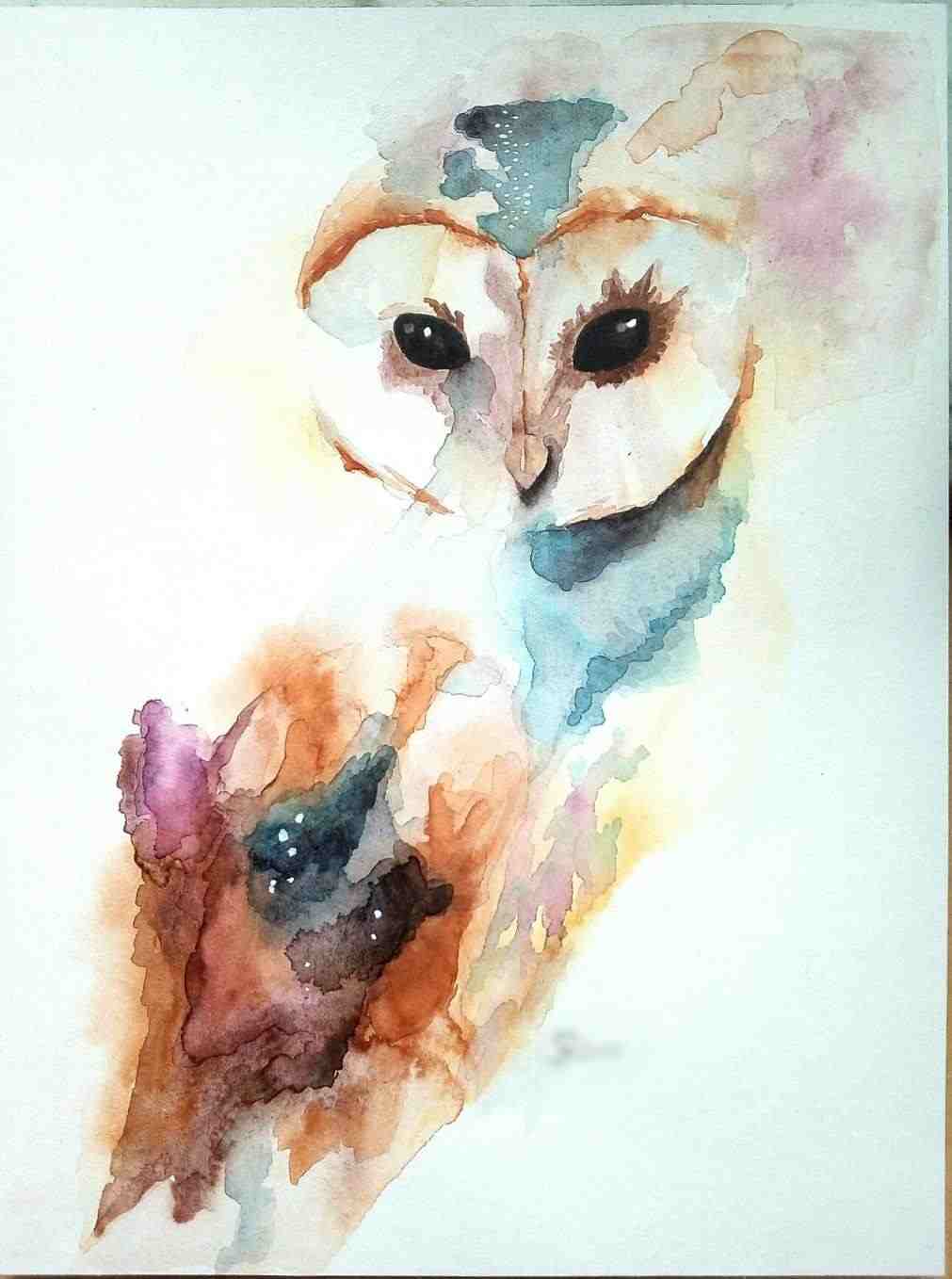 1011x1358 Watercolor Painting Tumblr Animals Tr Vbulletin