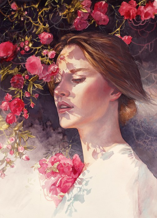 504x700 Afternoon Rose