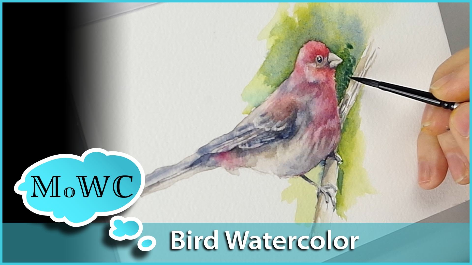 1920x1080 Bird Painting With Wet In Wet Watercolor Underpainting Technique