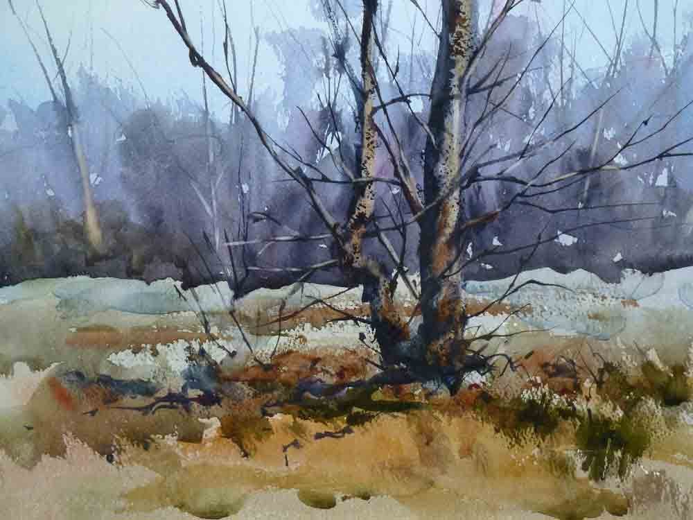 1000x750 Painting Trees In Watercolour