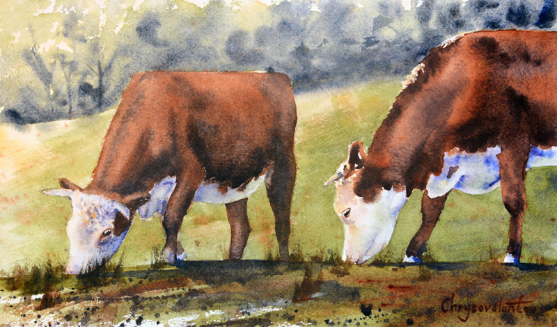800x470 Cows Grazing In Field Watercolour Painting Chrysovalantou