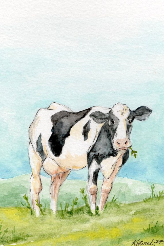 570x855 Gallery Watercolor Paintings Of Cows,