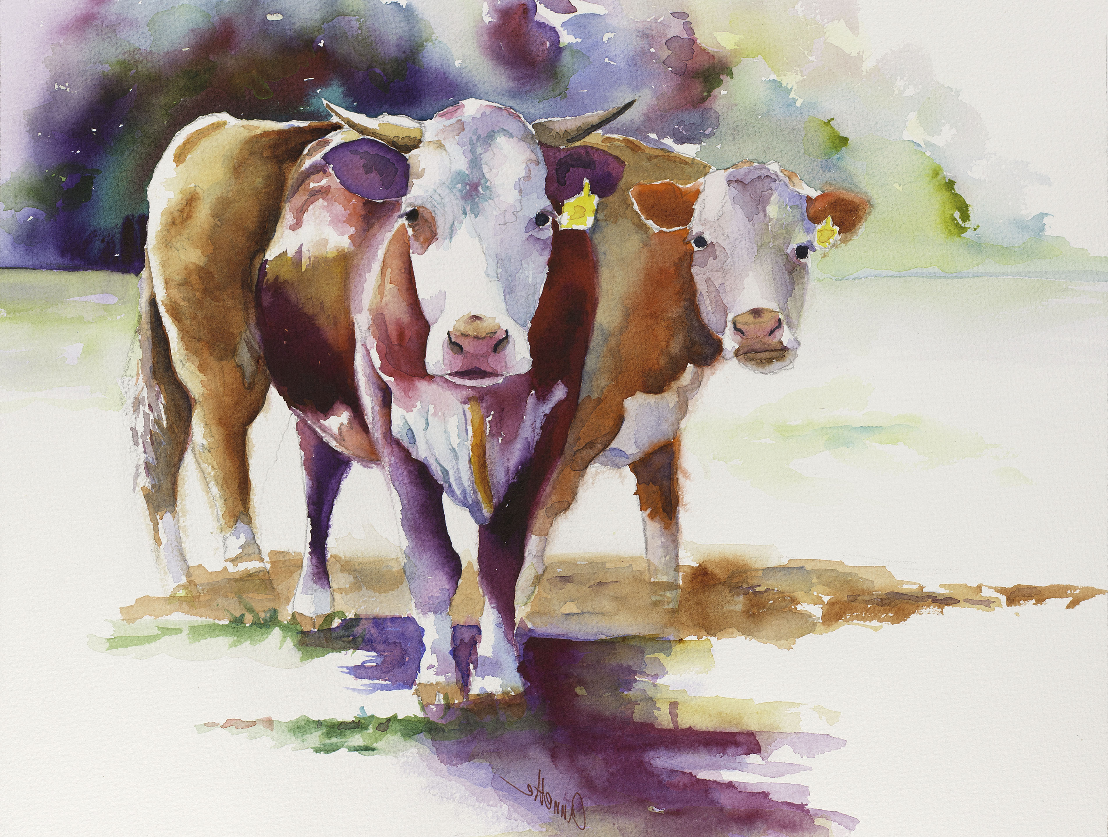 3808x2877 Watercolor Paintings Of Cows