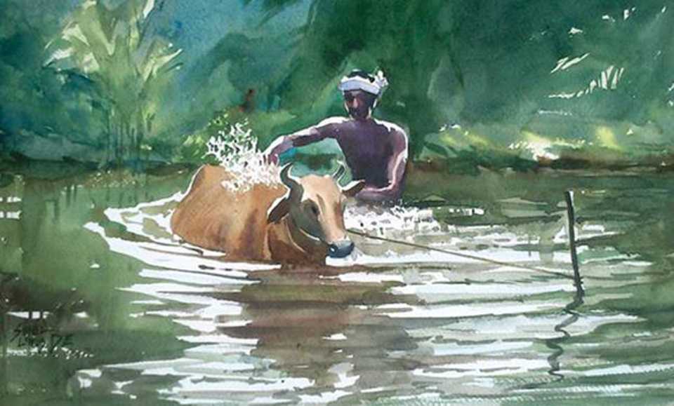 960x579 Cow Bathing Watercolor Painting Sunil