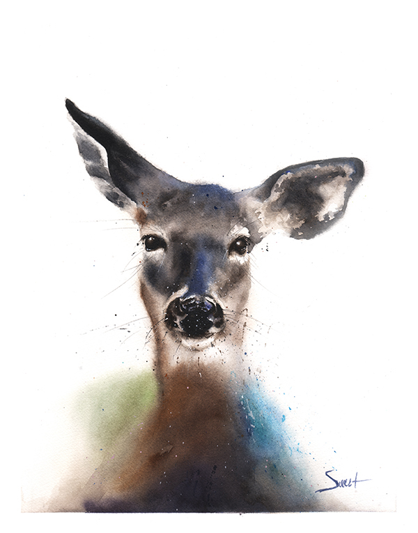 600x764 Deer Watercolor Print Watercolor Animal Paintings