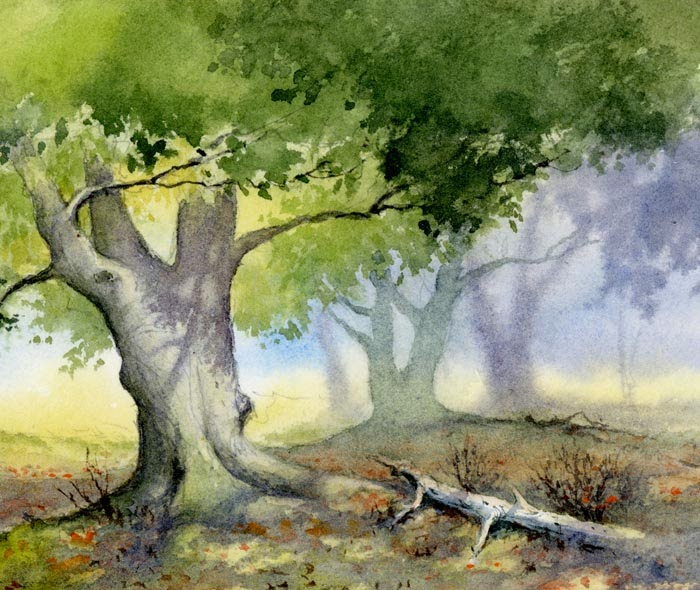 700x590 Davidbellamyart Painting Woodland Scenes In Watercolour