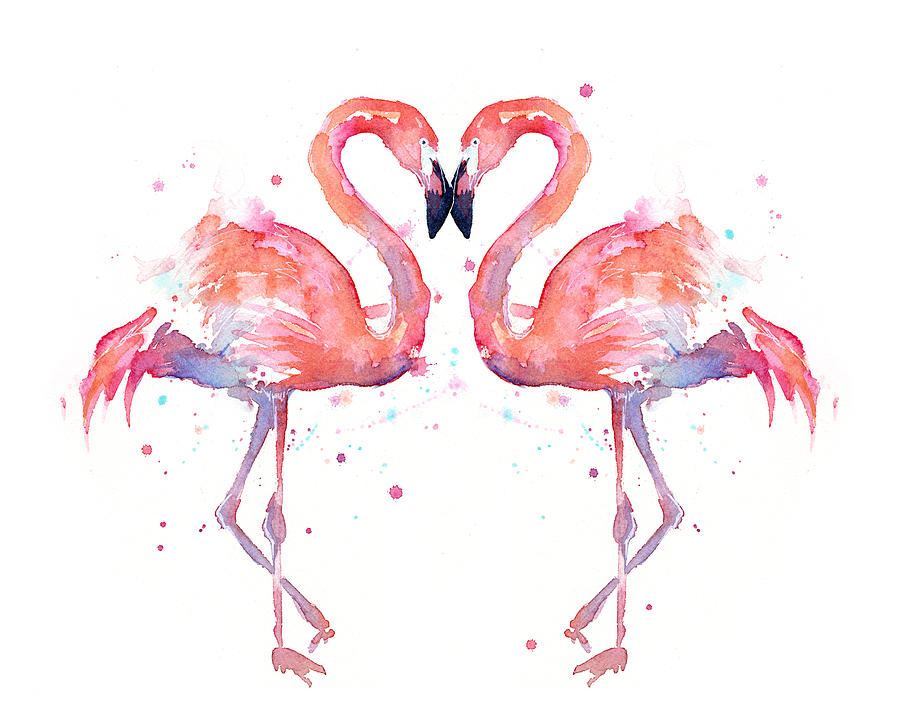 900x728 Flamingo Love Watercolor Painting By Olga Shvartsur