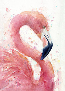 214x300 Flamingo Paintings Fine Art America
