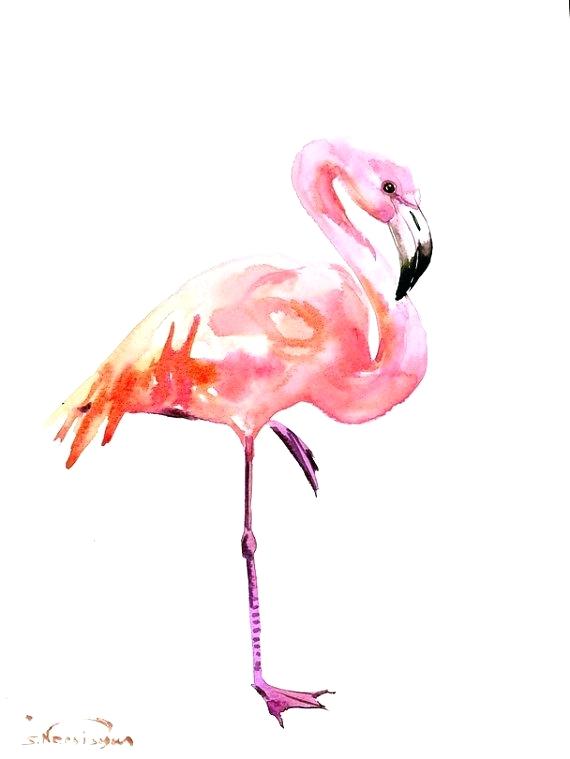 570x759 Flamingo Paintings Birds Painting Flirty Flamingo By Pat St