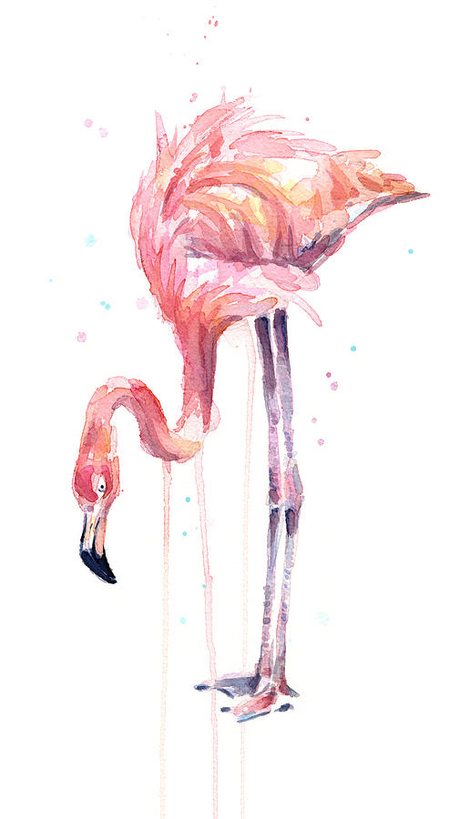 505x900 Flamingo Watercolor