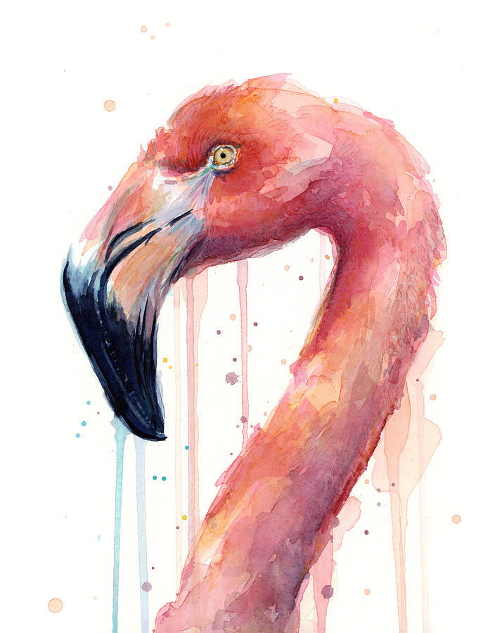 707x900 Flamingo Watercolor Illustration Painting By Olga Shvartsur