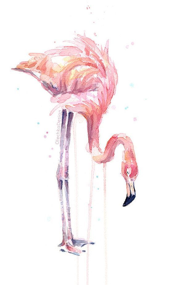 570x926 Drawn Flamingo Painted
