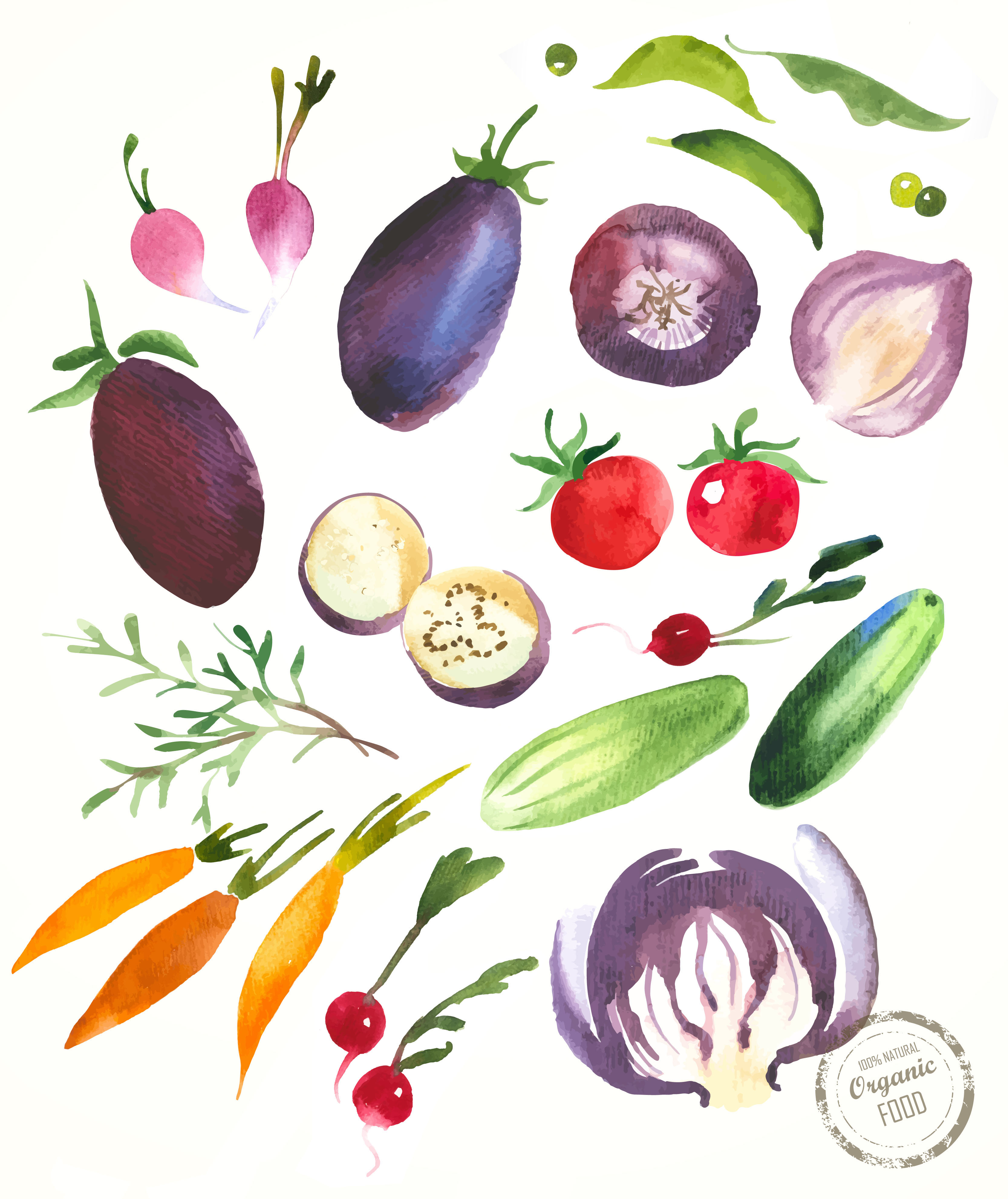 3333x3963 Watercolor Fruit And Vegetables On Behance
