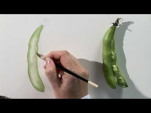 480x360 Watercolour Fruit Amp Vegetable Portraits Three