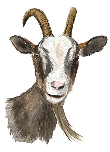 363x500 Goat Art