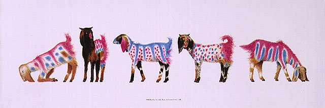 640x213 Painted Goats
