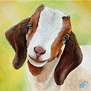299x300 Baby Goat Paintings Fine Art America