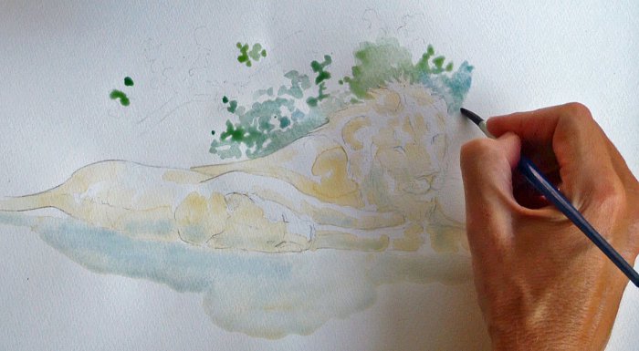 700x385 How To Sketch Lions In Watercolour