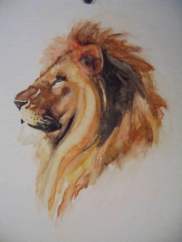 600x800 Lion, Tattoos And Body Art And Sketches Ujn