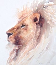 236x274 50 Best Watercolour Lions Images Paint, Watercolor