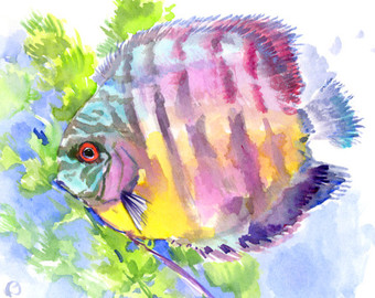 340x270 Tropical Fish Art Group With Items