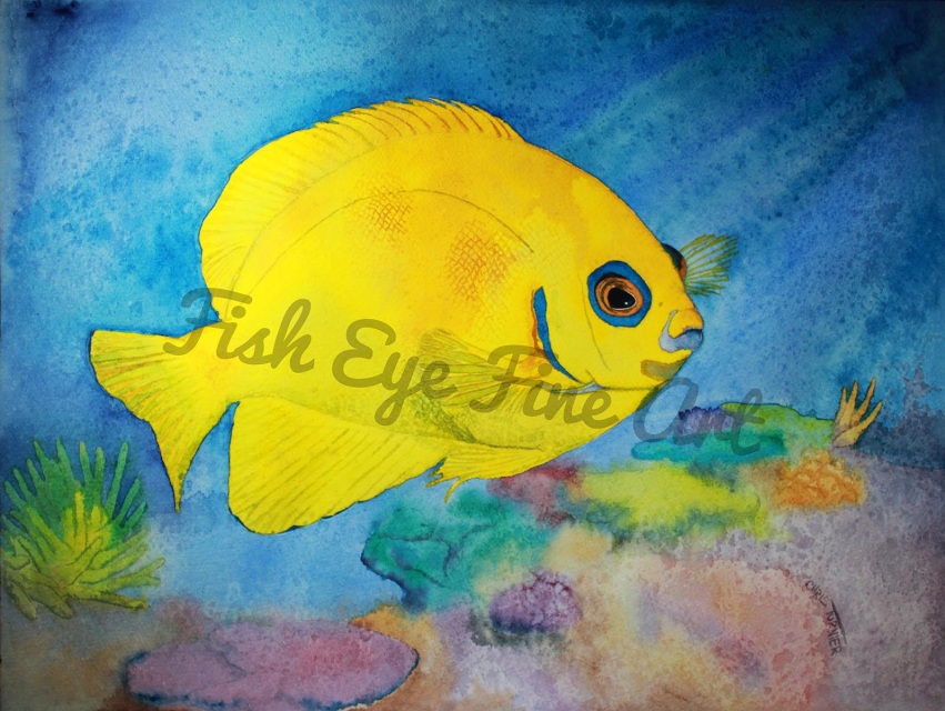 851x640 Tropical Fish Watercolor Art