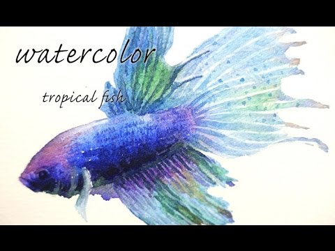 480x360 Watercolor Illusr Tropical