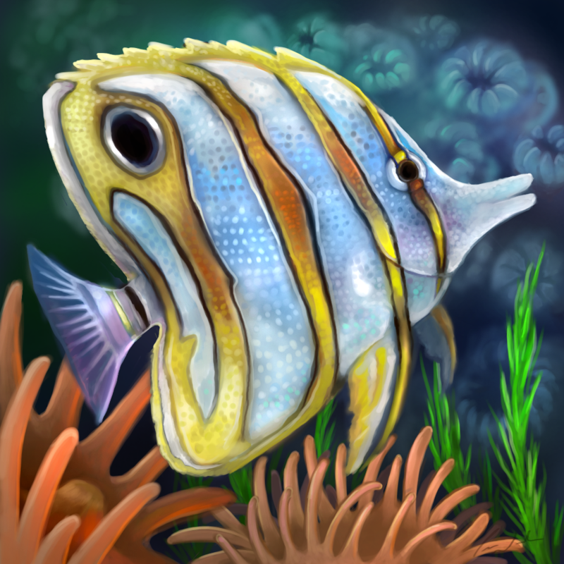 Watercolor Paintings Of Tropical Fish at GetDrawings | Free download