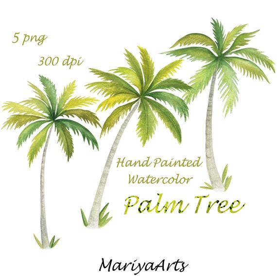 570x570 Palm Tree Clipart Watercolor Clip Art Hand Painted Double Etsy