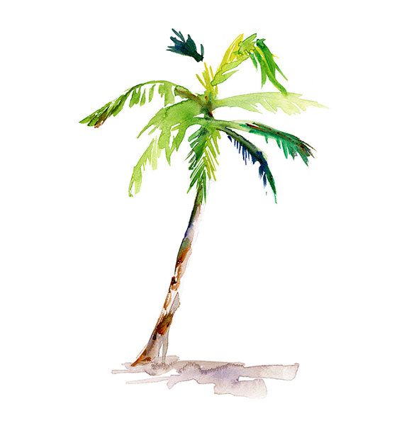 570x614 Palmtree Art