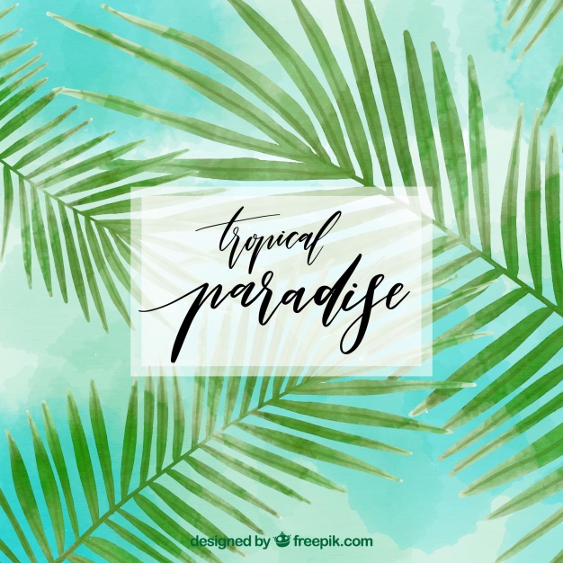 626x626 Tropical Background With Watercolor Palm Leaves Vector Free Download