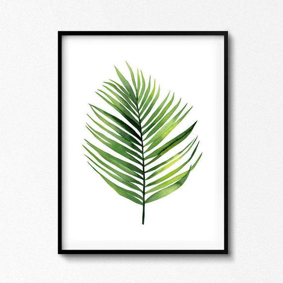 Watercolor Palm Leaves at GetDrawings | Free download