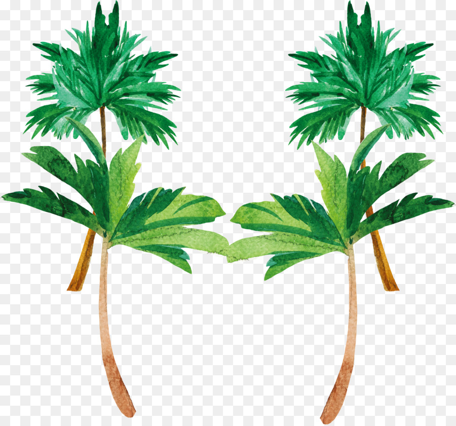 900x840 Tree Coconut Watercolor Painting Plant