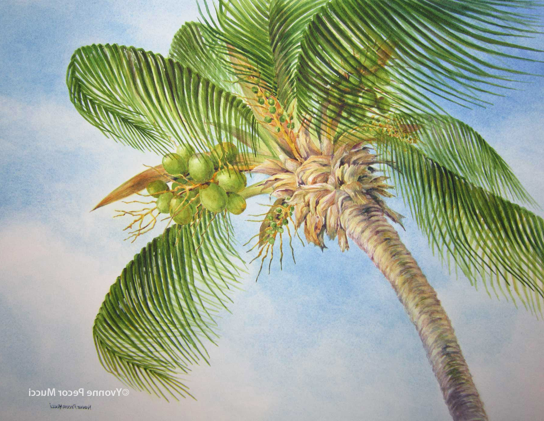1800x1393 Painting Palm Trees In Watercolor Painting Trees With Watercolor