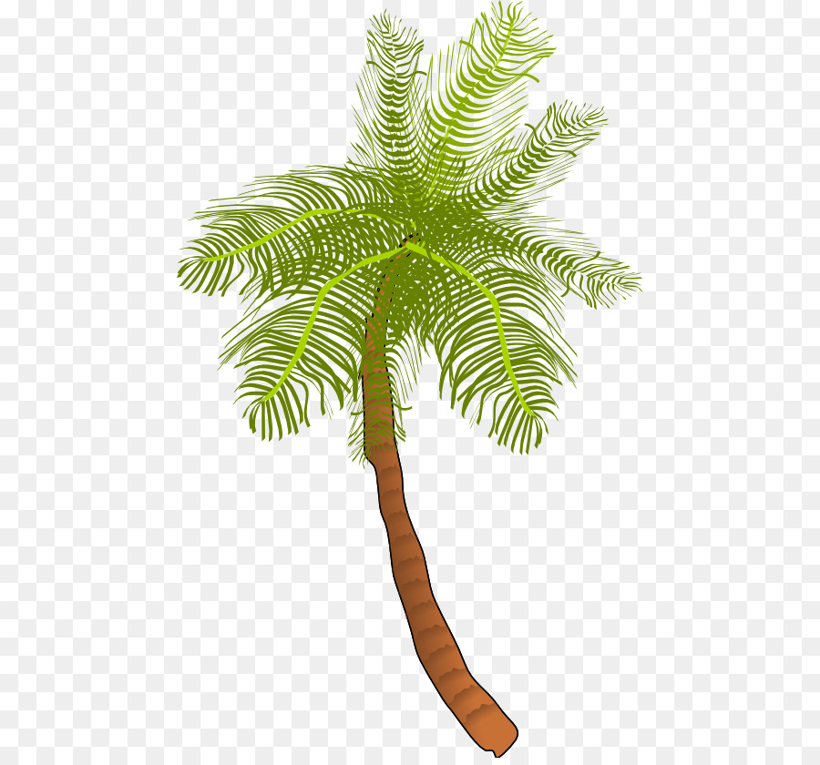 900x840 Coconut Arecaceae Tree Clip Art