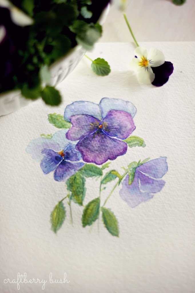 682x1024 Pansiesviolas And Some Watercolor