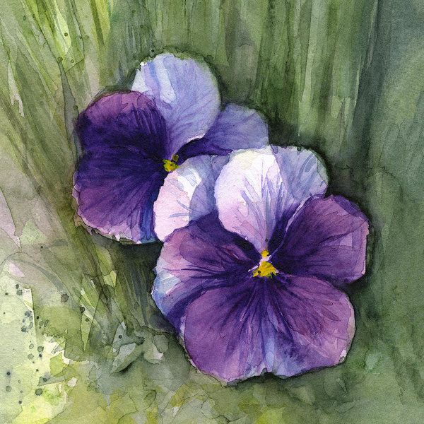 600x600 Purple Pansies Watercolor Art Print By Olga Shvartsur