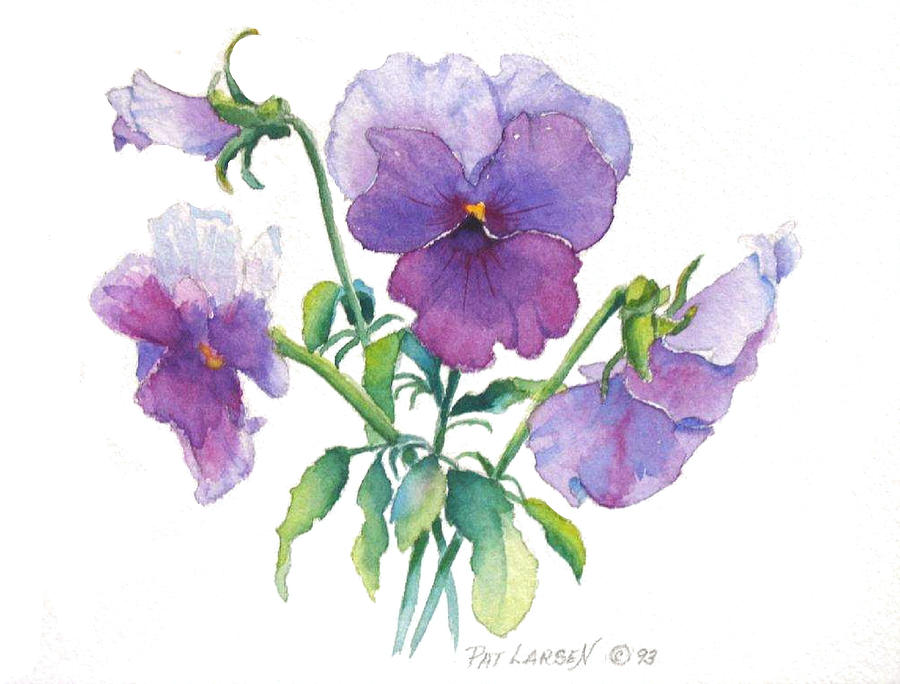 900x684 Springtime Pansy Painting By Pat Yager