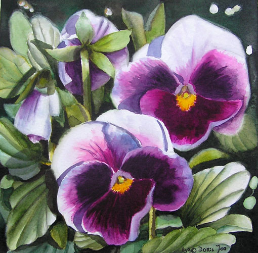 510x501 Violet Pink Pansies In Watercolor, Pansy Painting, Flower Painting