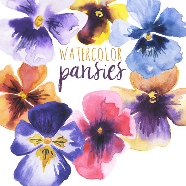 642x642 Watercolor Clip Art Floral Pansy Clip Art Pansies Clipart Etsy